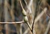 356931 – Photo : Numayta – France (68)